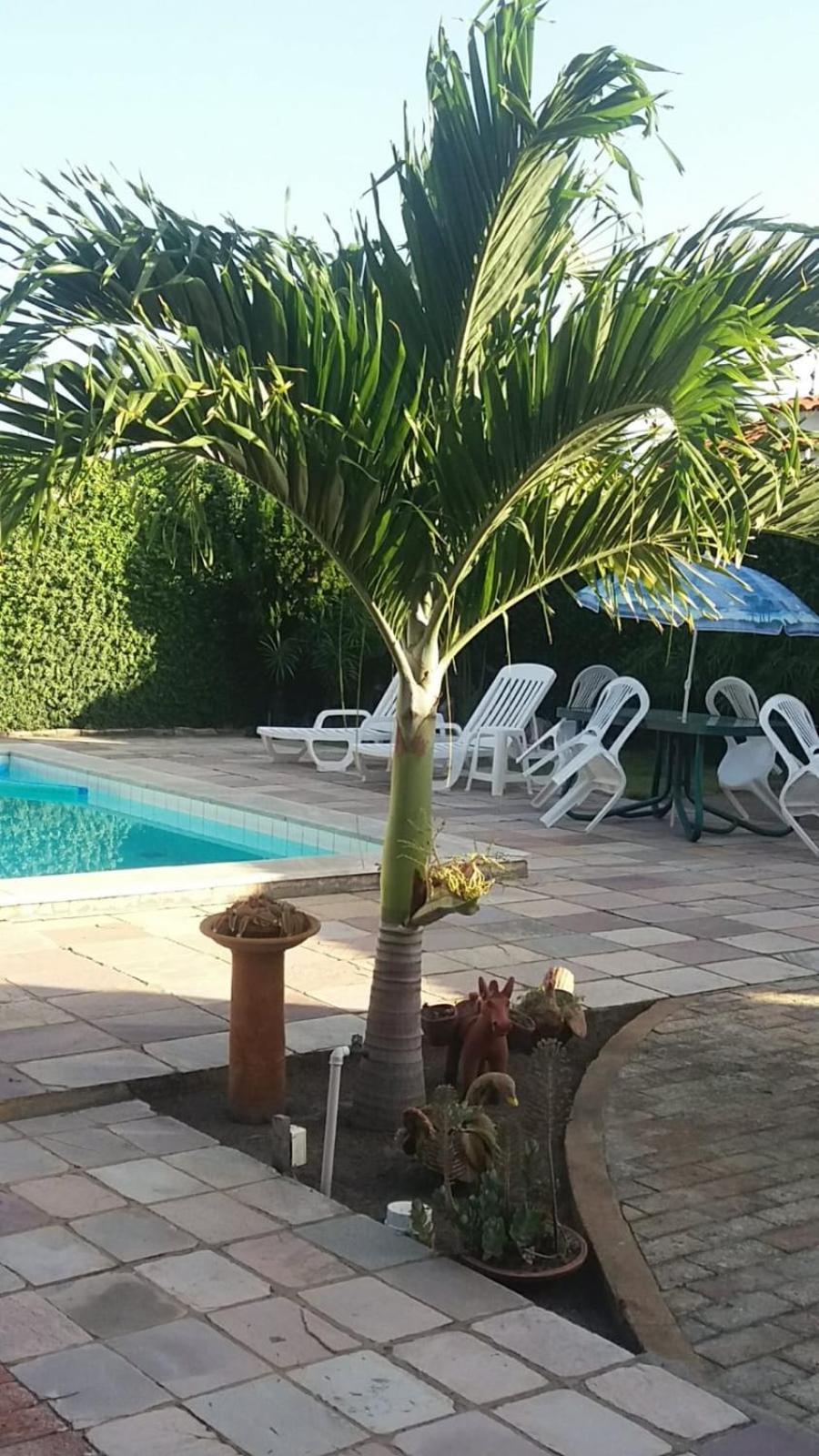 Pousada Dos Cajueiros Paripueira Esterno foto