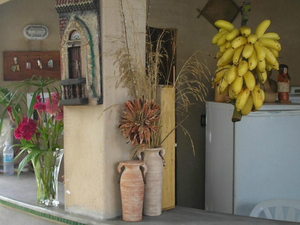 Pousada Dos Cajueiros Paripueira Esterno foto